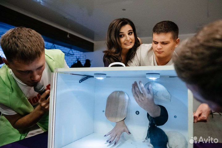 Взрослые праздники