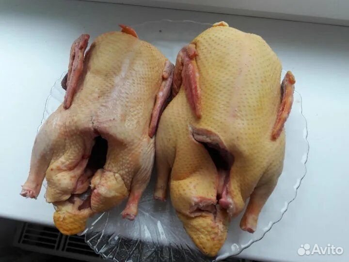 Мясо индоутки,бройлера