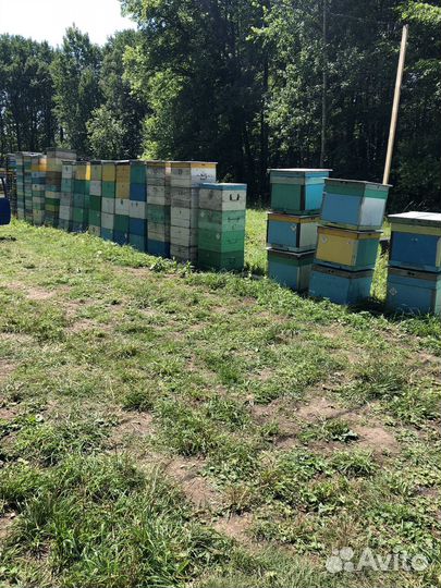 Ульи для пчел