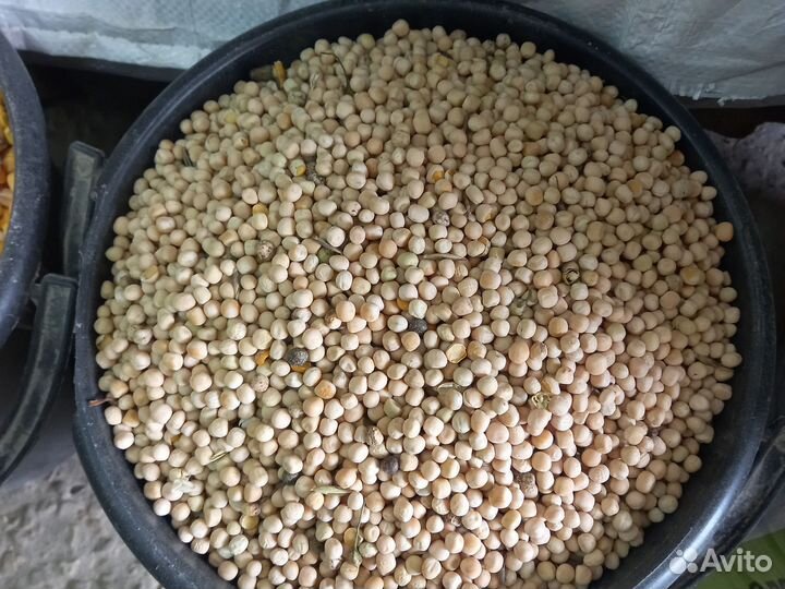 Корма для животных