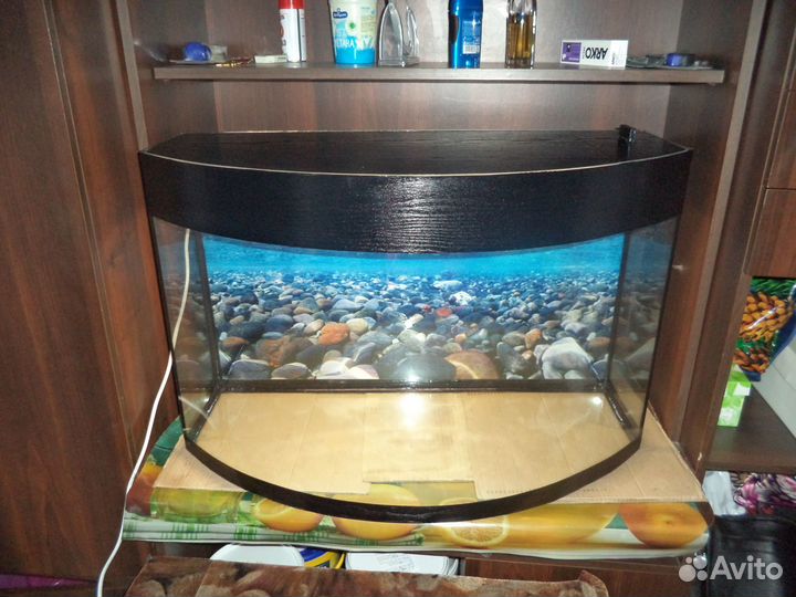 Продаю новые Черепашники и аквариумы для Рыб