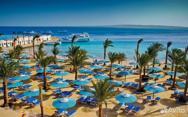 Поездка в семейные от. Египта от 1 ч