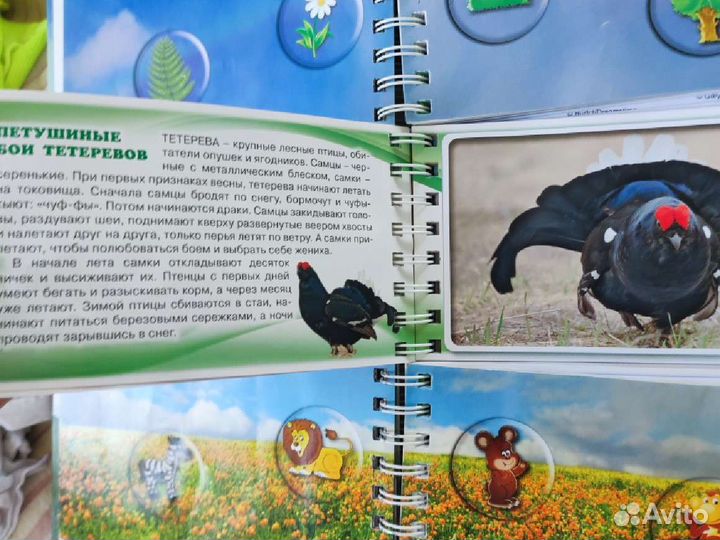 Детские книги, энциклопедия