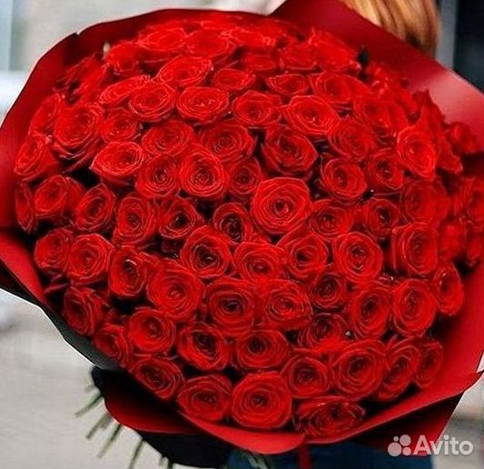 101 роза цветы букеты доставка 25 51 101 роза