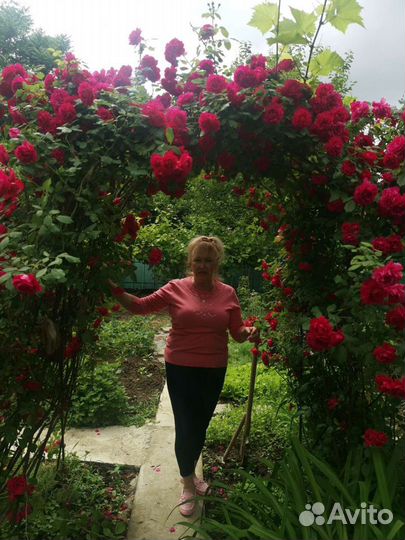 Услуги няни