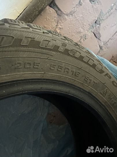 Cordiant Polar 2 205/55 R16