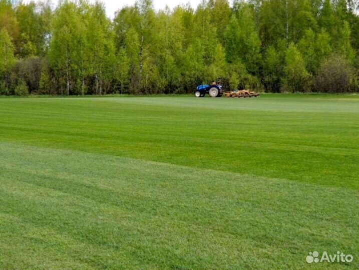 Рулонный газон 