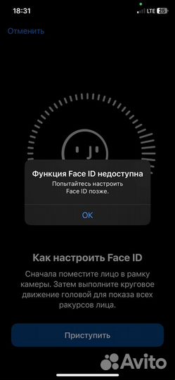 iPhone X, 256 ГБ