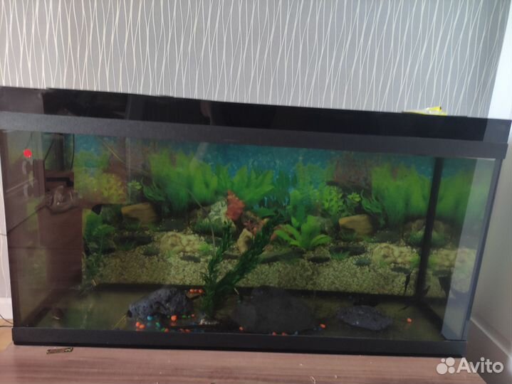 Аквариум
