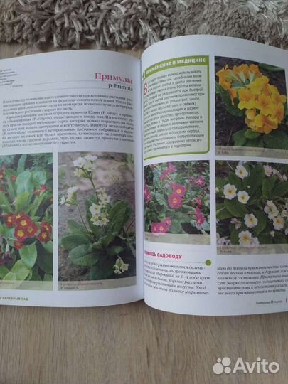 Ваш целебный сад. Т. Ильина