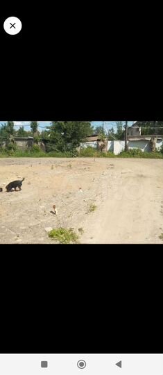 Участок 5 сот. (СНТ, ДНП)