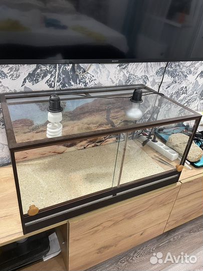 Терратиум для агамы