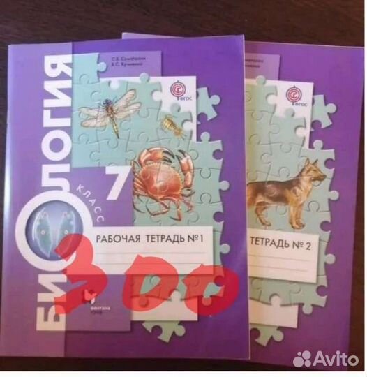 Рабочие тетради