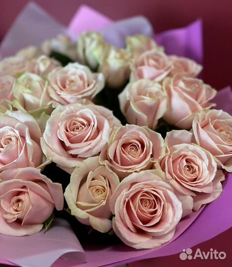 Букет голландских роз 25 шт