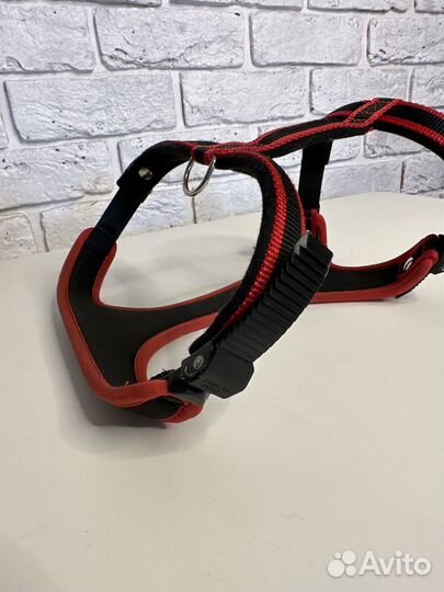 Ошейник для собак