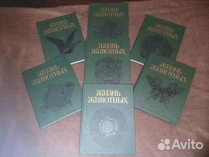 Жизнь животных