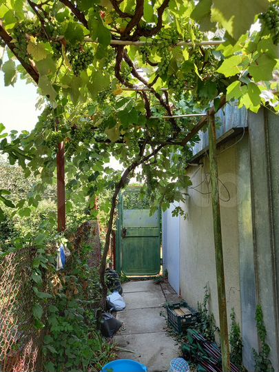 Дом 18 м² на участке 6 сот.