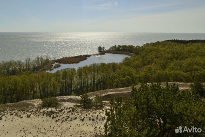 Экскурсия на Куршскую косу. Всё включено