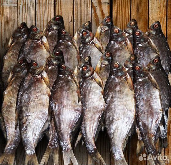 Сопа вяленая. Жирная