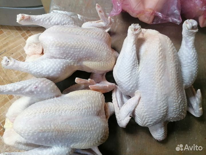 Мясо Домашнего Бройлера