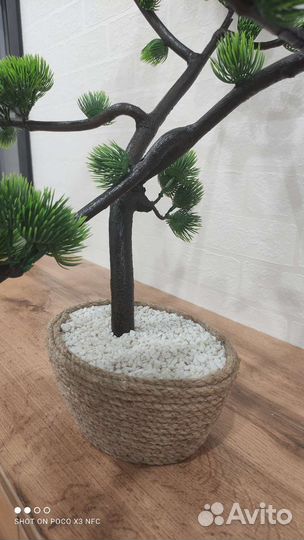 Искусственные деревья туи и бонсай