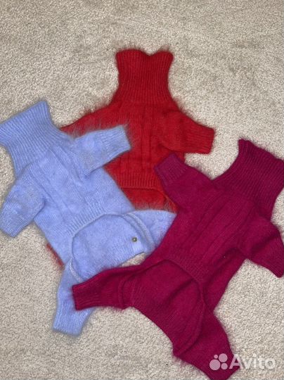 Одежда для маленьких собак