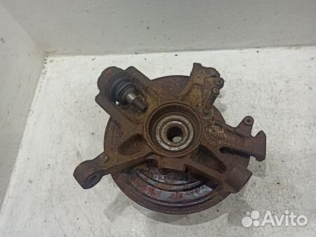 Кулак задний правый