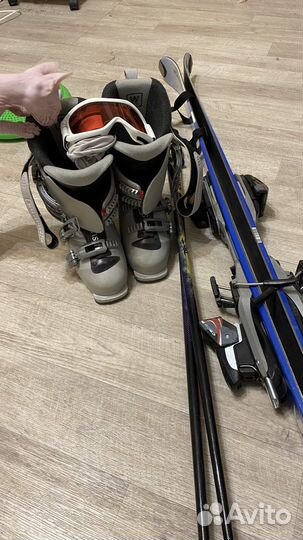 Горные лыжи