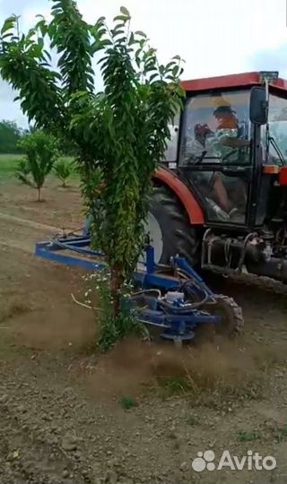 Фреза приствольная