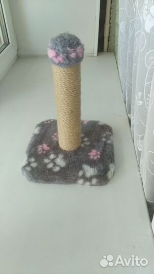 Когтеточка