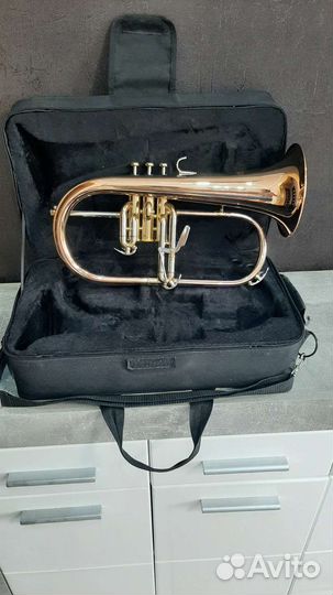 Флюгельгорн