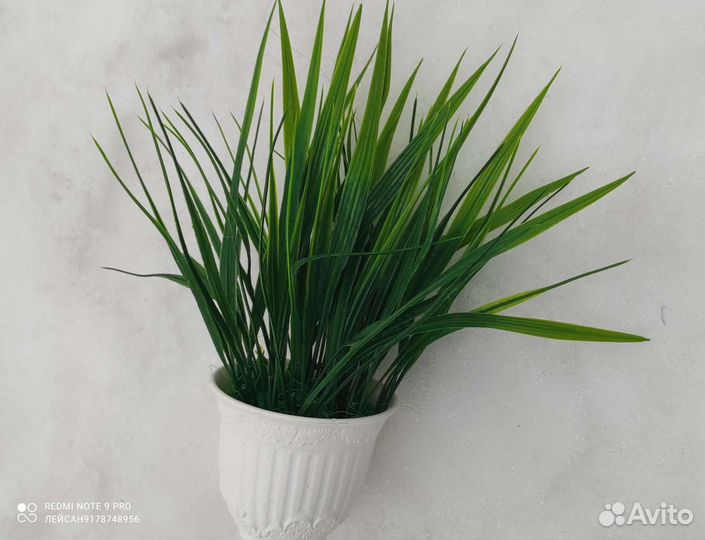 Зелень в горшочках, кашпо, ящиках