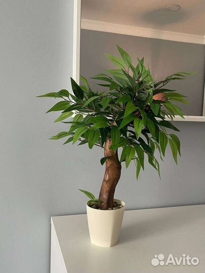 Искусственные цветы