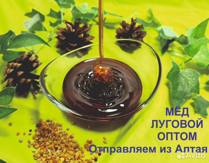 Алтайский мед 2023 г (опт)