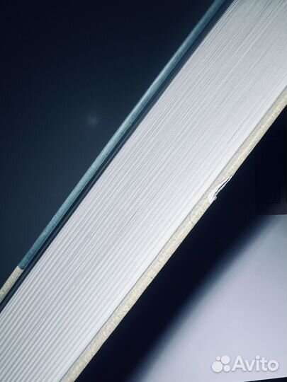 Анна Старобинец - Лисьи Броды