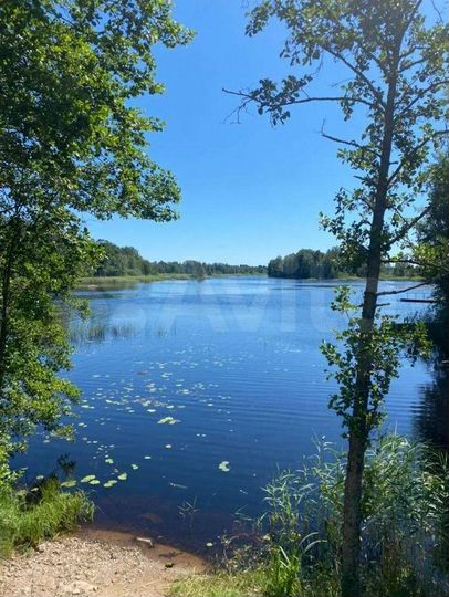 Участок 18 сот. (ИЖС)