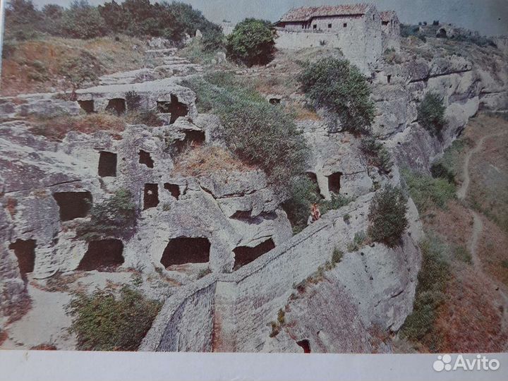 Редкие растения и животные Крыма,маршруты