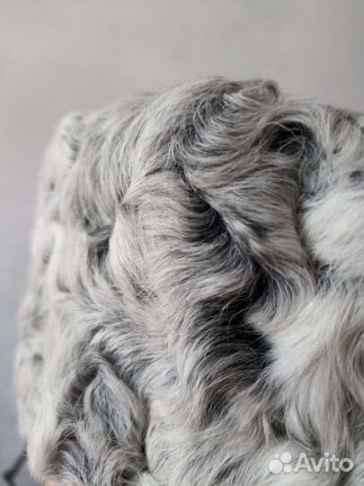 Кубанка с нат. Каракуля