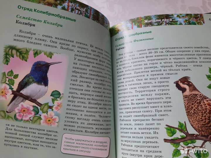 Энциклопедия