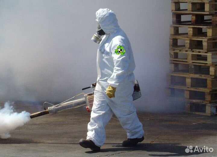 Уничтожение насекомых и грызунов