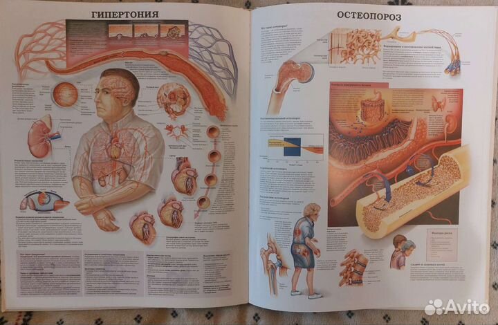 Большой атлас анатомии человека