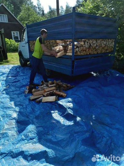 Дрова колотые березовые