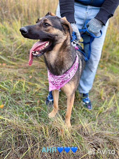 Маленькая Берта ищет дом