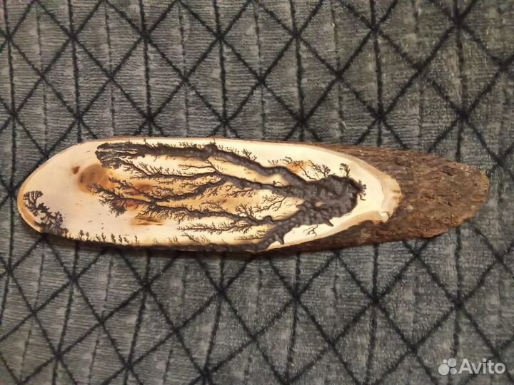 Декоративный спил на стену из дерева(черёмуха)