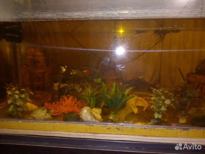 Аквариум