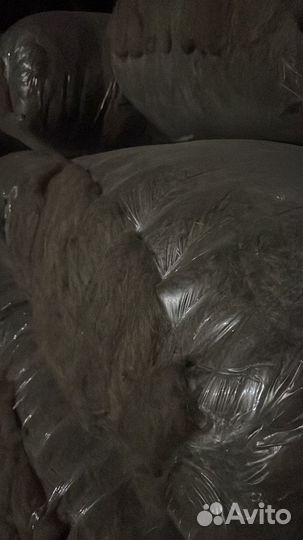 Шерсть осенняя чесанная (битая)