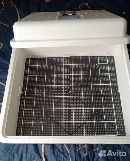 Инкубатор автоматический несушка