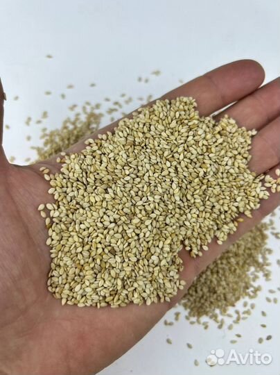 Семена кунжута