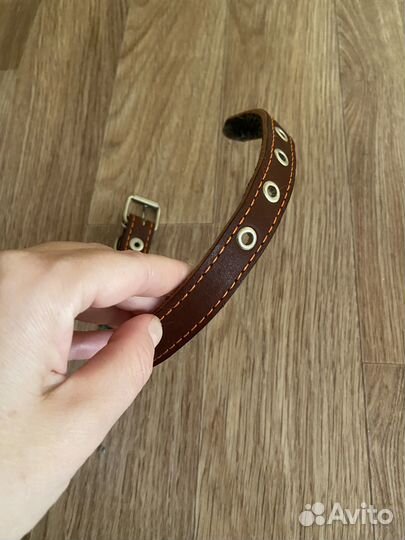 Ошейник для собак