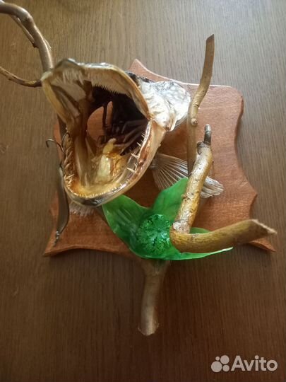 Чучело щуки